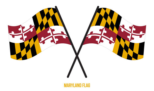 ilustrações, clipart, desenhos animados e ícones de dois cruzou agitando a bandeira de maryland em fundo branco isolado. - maryland flag state maryland state flag