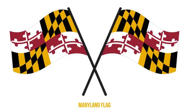 Vector illustration of Two Crossed Waving Maryland Flag On Isolated White Background.