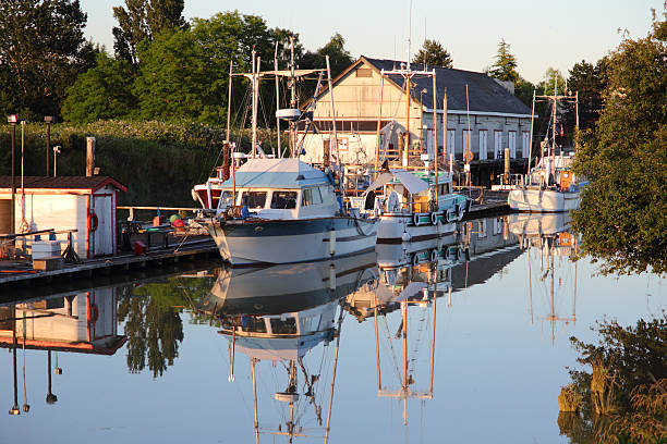 istock Scotch Pond Dusk, Steveston, British Columbia 121697906
