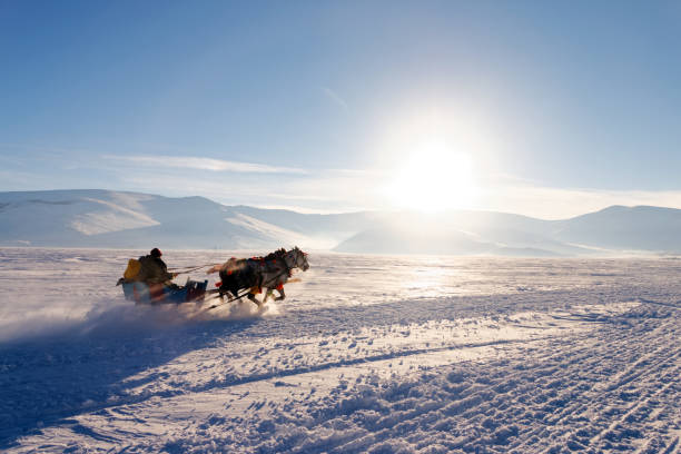 Horses pulling sleigh in winter , Cildir Lake, Kars