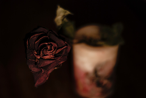 Withered red rose in the focused foreground and a scented candle in the out of focus backdrop in a low key composition.