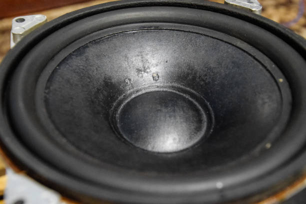 istock Diffuser and suspension of the Soviet speaker. 25gd-26 1216981234
