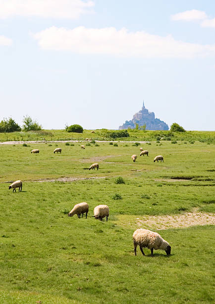 Mont Saint Michel
