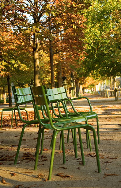 automne à paris - jardin luxembourg photos et images de collection