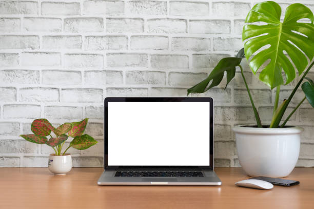 istock Blank screen of Laptop computer with smart phone, mouse and monstera plant pots 1216984862