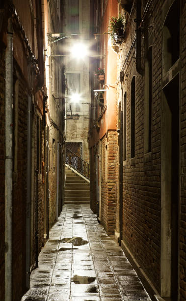 istock Narrow alley in Venice after rain 121698609