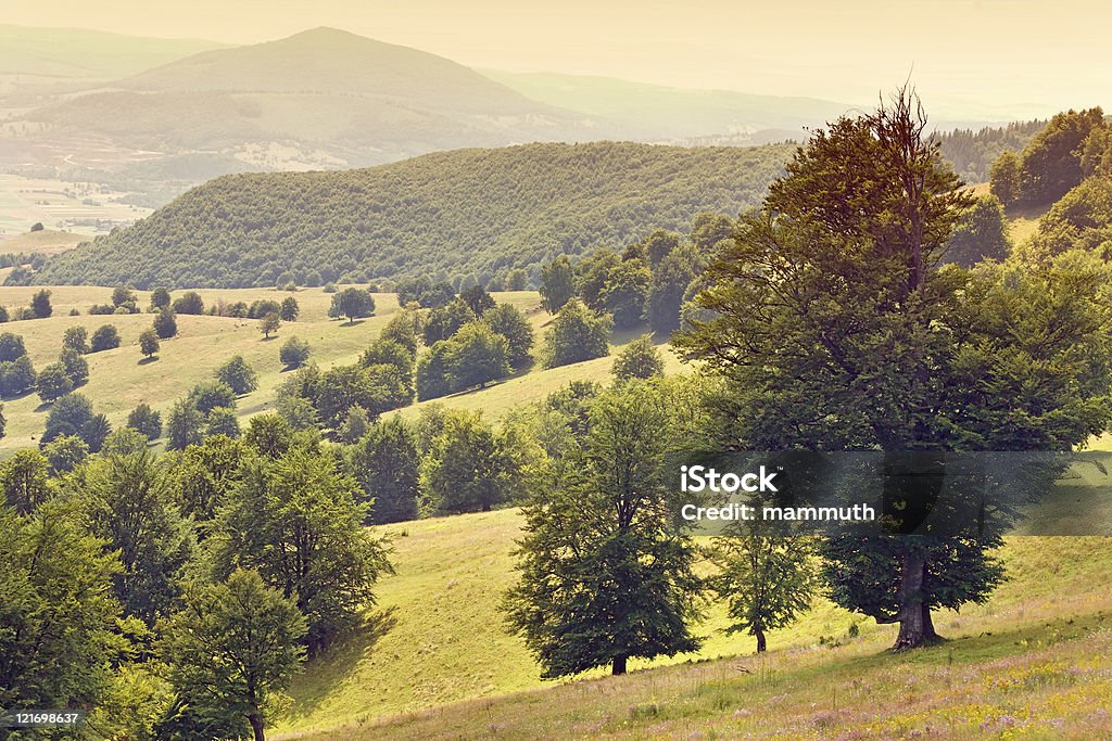 retro paisaje - Foto de stock de 1960-1969 libre de derechos