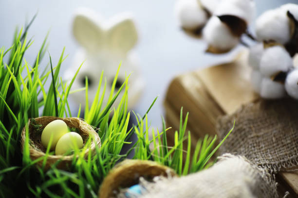 istock Bird's nest with eggs. Willow branches and first greens. Easter background. Palm Sunday. Christian holiday. Spring background. 1216988965