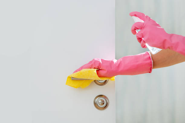 istock Woman hands cleaning knobs and handles for covid preventive measures 1216989908
