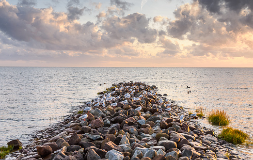 Breakwater with Seagulls at Dusk, Büsum, Germany