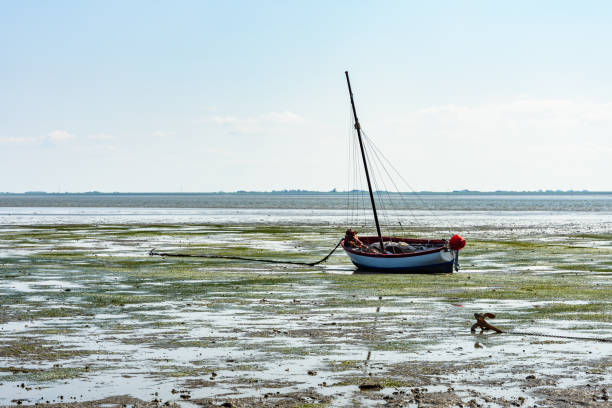 Boat at the Wadden Sea at Low Tide, Hallig Hooge, Wadden Sea National Park, Germany Sailing boat at ebb tide near the coast of Hallig Hooge at Schleswig-Holstein Wadden Sea National Park, North Frisia, Germany low tide stock pictures, royalty-free photos & images