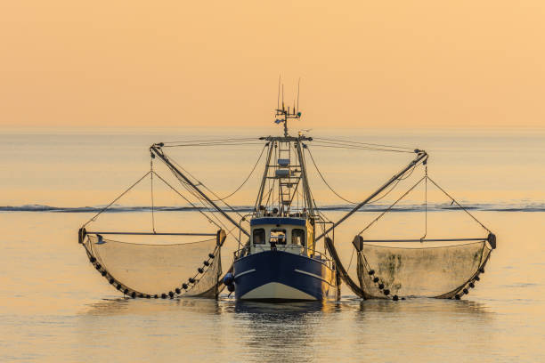 14.800+ Fotos, Bilder und lizenzfreie Bilder zu Fischer Boot Netz - iStock