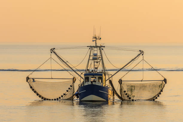 Fishing Boat with Nets at Wadden Sea in Evening Light, North Sea, Germany Fishing Boat with nets at Wadden Sea at sunset, North Sea, Schleswig-Holstein Wadden Sea National Park, Germany fish trawler stock pictures, royalty-free photos & images