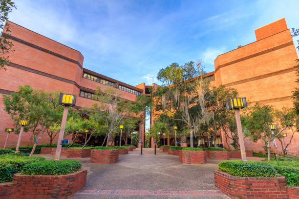 marston science library at the university of florida - university of florida imagens e fotografias de stock