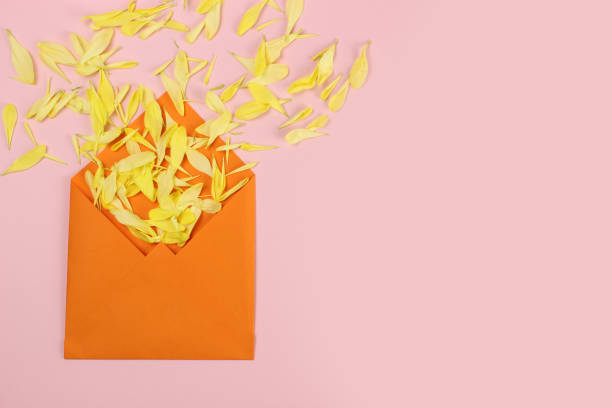 istock composition of yellow chrysanthemum petals in a blue envelope 1216993049