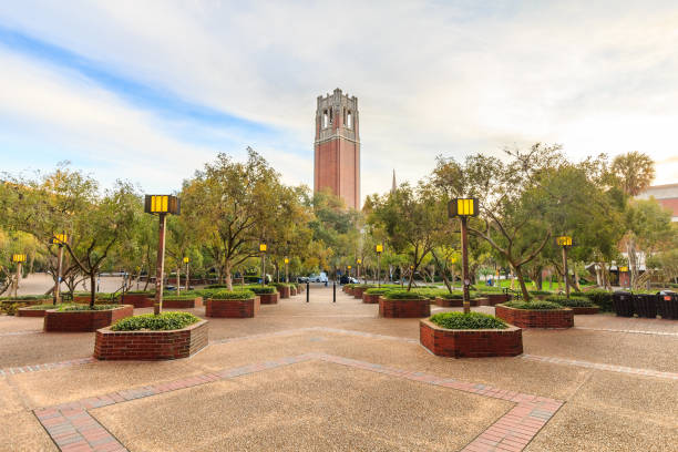 Century Tower at the University of Florida stock photo
