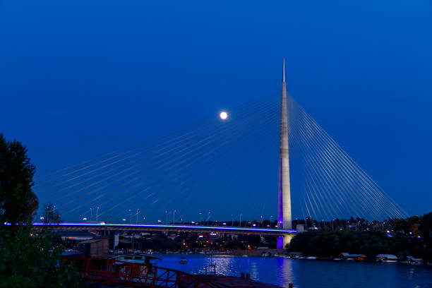 istock Night view of bridge in Belgrade 1216995399