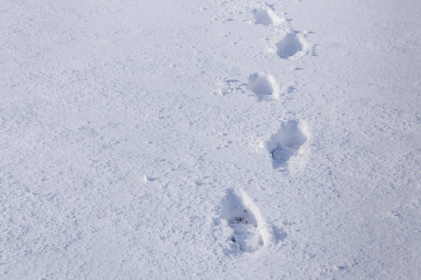 istock Line of man's footsteps in the snow 1216995717