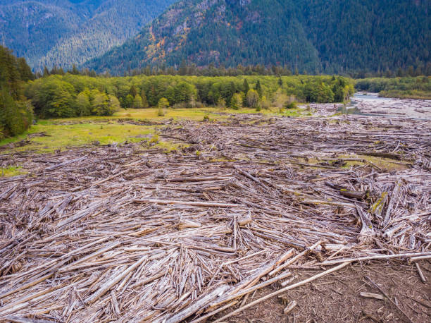 istock Baker Lake Area, North Cascades region, Washington state 1216996741