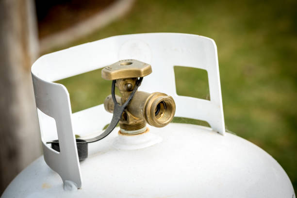 istock Single close up of a propane take in a backyard 1216999198