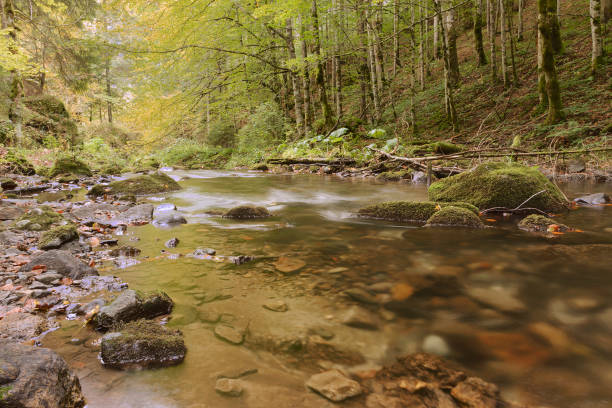 istock mountain river close up in autumn 1217000622