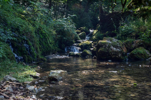 istock Waterfalls and rapids of a mountain stream 1217000729