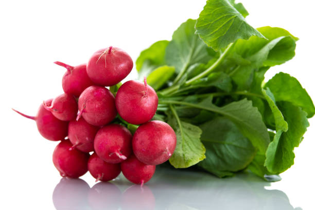 Fresh red organic radishes on white background stock photo