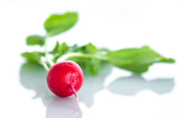 Fresh red organic radishes on white background