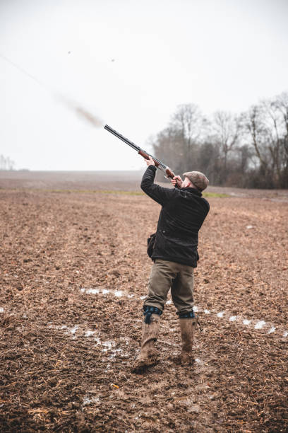 オープンフィールドで彼の散弾銃を撃つハンター - pheasant hunter ストックフォトと画像