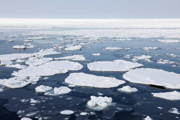 Drift Ice Along Shiretoko CoastlineHokkaido, Japan