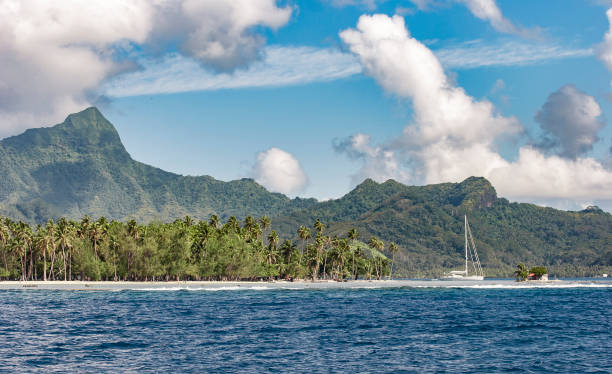istock approaching Raiatea Island from Sea 1217008860
