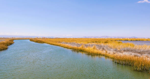 istock Peru Lake Titicaca waterways panoramic view 1217010738