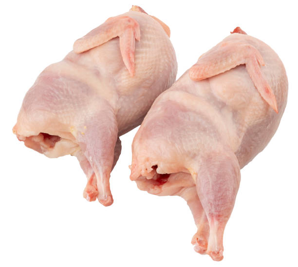 istock Two raw quail isolated on white. Meat for cooking at home or barbeque 1217010943
