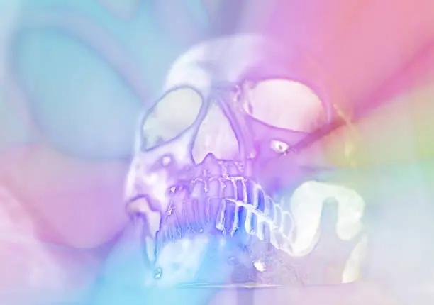 Photo of colorful pastel stylized skull background