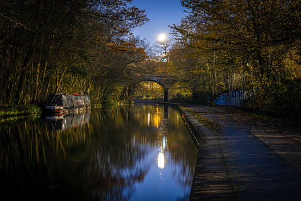istock Camden canal in the night, London 1217013692