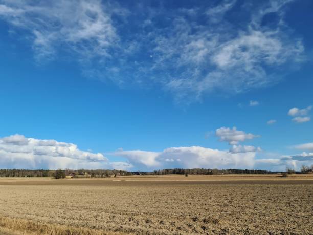istock Beautiful landscape view with fields, forest trees and blue sky with white clouds. Gorgeous spring backgrounds. 1217014878