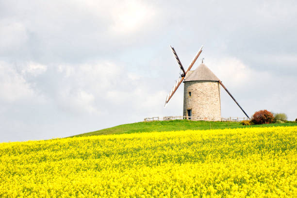 istock Moidrey mill, an old windmill in Normandy - France 1217015906