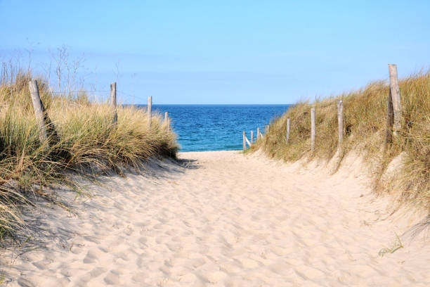 Beach entrance on Atlantic coast Walkway / Access path to the beach in Brittany, near Cancale and Saint Malo, with sand and beach grass. Similar at Gironde beach. brittany france stock pictures, royalty-free photos & images