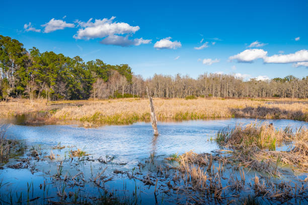 istock Beautiful winter landscape 1217022300