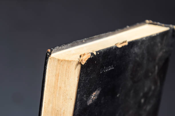 istock binding of an old book in black cover. 1217027535