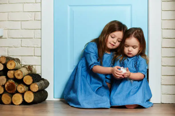Two little girls in blue dresses with a white bird in their hands are sitting on the porch in front of the blue door.