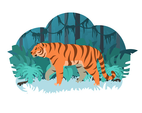 Cartoon Tiger Walking In A Jungle Stock Vector Illustration Rainforest  Inhabitants Stock Illustration - Download Image Now - iStock