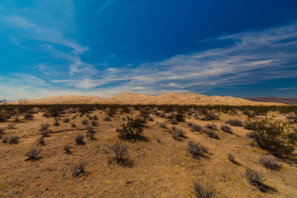istock Mojave Desert National Preserve 1217029183