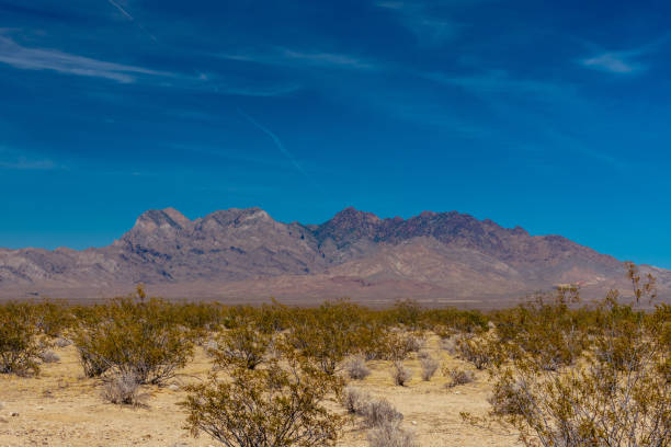 istock Mojave Desert National Preserve 1217029210