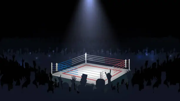 Vector illustration of Boxing ring in and crowd