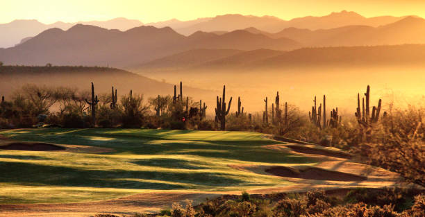 Desert Golf Course A beautiful golf course in the desert of Arizona. scottsdale arizona stock pictures, royalty-free photos & images