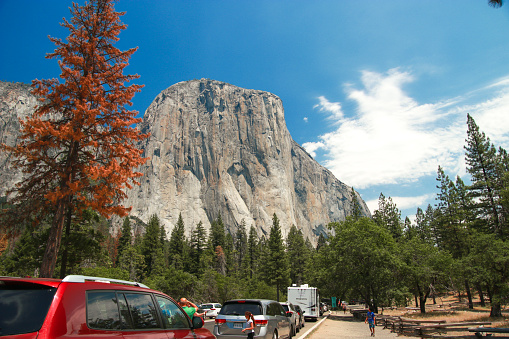 Yosemite National Park, California, USA - July 10, 2017: Tourists on their way to Yosemite Valley, passing by El Capitan - granite rock known for its great climbing routes,