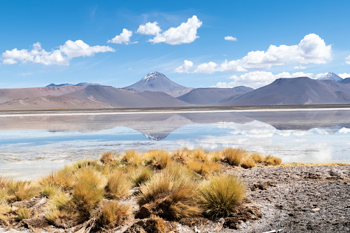 Landscape reflection in The Salar de Aguas Calientes Lagoon, San Pedro de Atacama, Chile