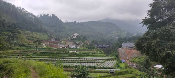 istock Small river in the village in Indonesia 1217033260