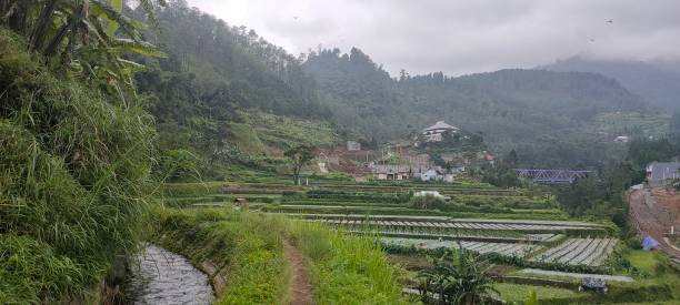istock Small river in the village in Indonesia 1217033291